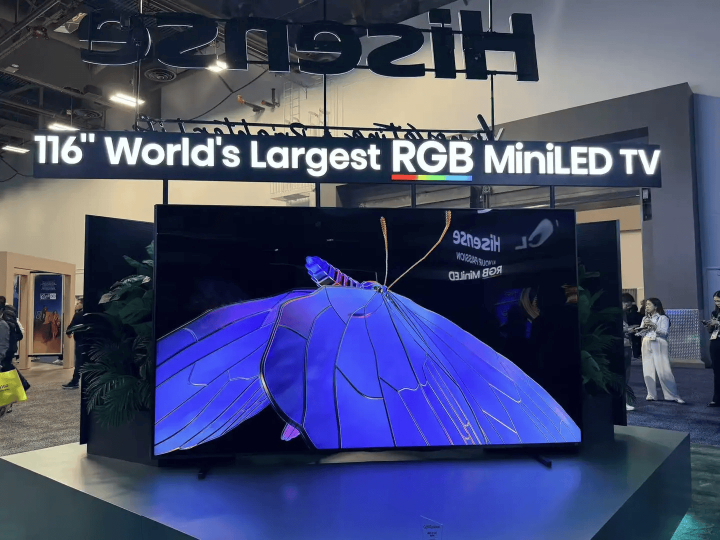 方向最火中企霸场机器人全明星乱斗暴走2万步逛CES2026:9大(图16) 方向最火中企霸场机器人全明星乱斗暴走2万步逛CES2026:9大(图16)